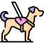 Help Animal