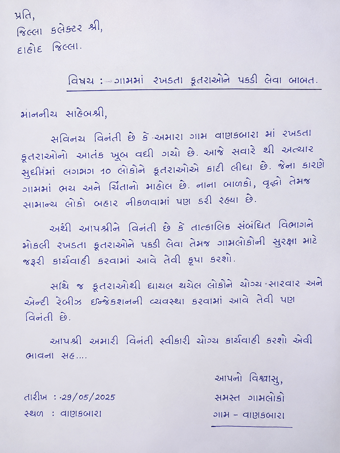 Urgent Complaint About Stray Dogs in Vanakbara